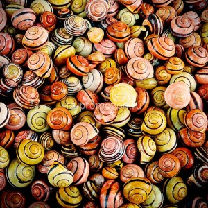 fotoobi texture (22)