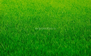 fotoobi texture (57)