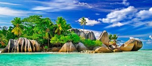 fotooboi tropiki (1)