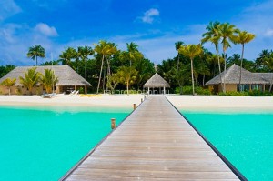 fotooboi tropiki (12)