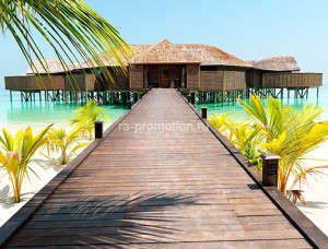 fotooboi tropiki (13)