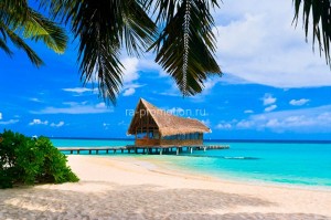 fotooboi tropiki (14)