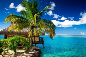 fotooboi tropiki (16)