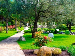 fotooboi tropiki (17)