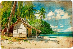 fotooboi tropiki (18)