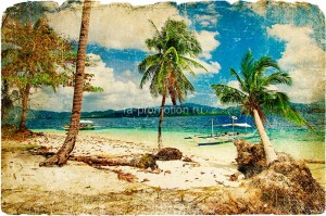 fotooboi tropiki (19)