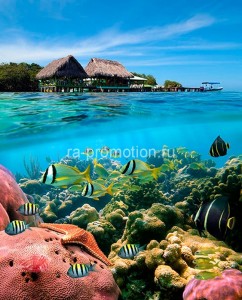 fotooboi tropiki (20)