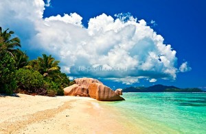 fotooboi tropiki (24)