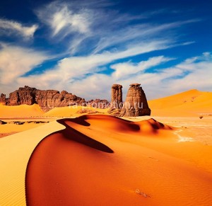 fotooboi tropiki (27)