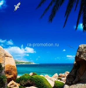 fotooboi tropiki (32)