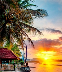 fotooboi tropiki (33)