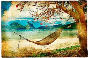 fotooboi tropiki (35)