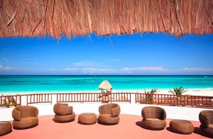 fotooboi tropiki (37)