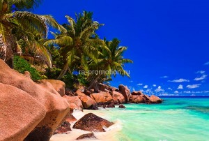 fotooboi tropiki (39)