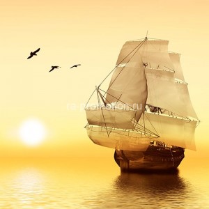 fotooboi tropiki (4)