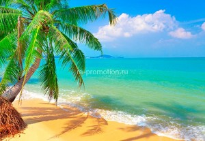 fotooboi tropiki (40)