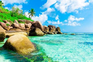 fotooboi tropiki (42)