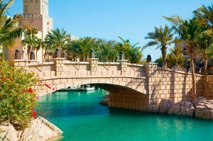 fotooboi tropiki (48)