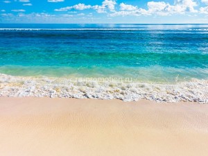 fotooboi tropiki (49)