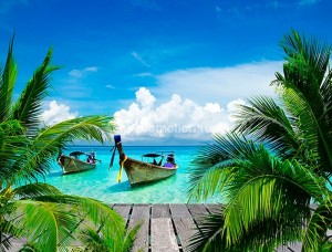 fotooboi tropiki (55)