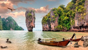 fotooboi tropiki (6)