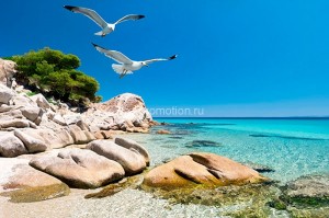 fotooboi tropiki (62)