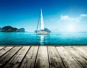 fotooboi tropiki (8)