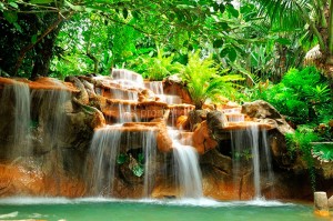 fotooboi vodopad (9)